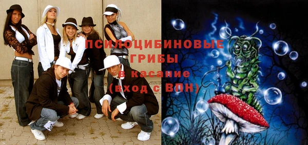 мдпв Россошь