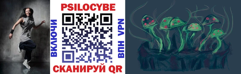 кракен зеркало  Шарыпово  Псилоцибиновые грибы Psilocybe 